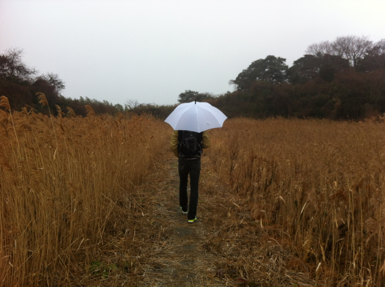 あの日の語り合い