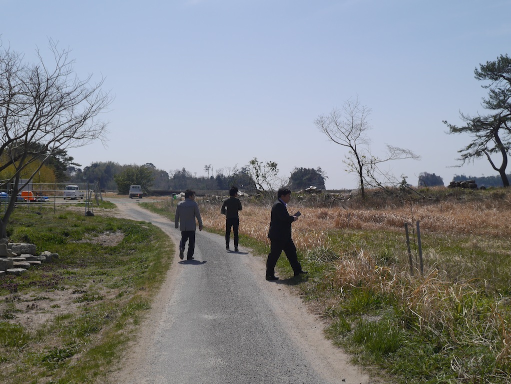 桜は元気かな？